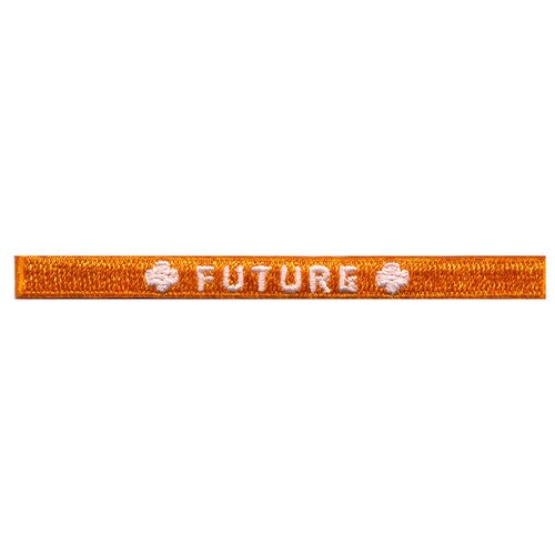 future segment